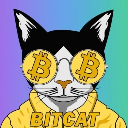 Bitcat Action