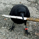 crow with knife Akcija