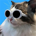 coolcat Aktie