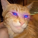 Giga Cat on Base Aktie