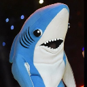 shork Aktie