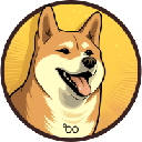 Dogecoin20 Akcija