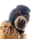 Ski Mask Dog Akcija