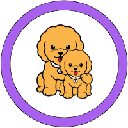 Pi INU 100x Stock