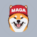 DogWithCap Stock