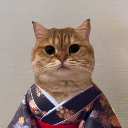 Cat Own Kimono Akcija