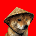 Chinese Doge Wow Aktsia