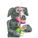 Doggensnout Aktie