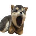 POPDOG Aandeel