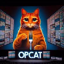 OP_CAT(BIP-420) Aktie