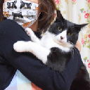 Onigiri The Cat Stock