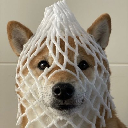 Wrapped Dog Aktie
