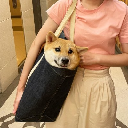 Pochita (pochita.com) Acțiune