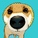 Pochita (pochita.biz) Acțiune