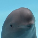 smiling dolphin Acțiune