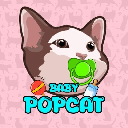Baby PopCat Stock