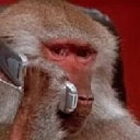 The dev is an Ape Aktie