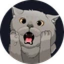 Chartreux Cat Stock