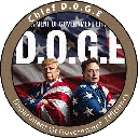 Chief D.O.G.E (chiefdog-cto.com) Action