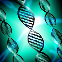 Biotech Stock