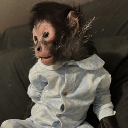 Monkey Taken By Police Akcija