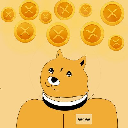 XRP DOGE Stock