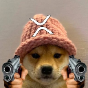 xrpwifhat Stock