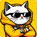 Cat in Hoodie Action