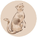 Madonna del Gatto Aktie