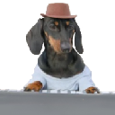 Synthesizer Dog Akcija