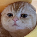 TAOCat by Virtuals & Masa Aktsia