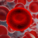 Red Blood Cell Stock