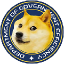 Department of Government Efficiency DOGE Stock