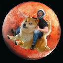 DOGE TO MARS Stock