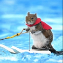 Twiggy the water skiing squirrel Aktie