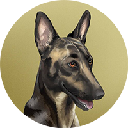 Broccoli (firstbroccoli.com) Akcija