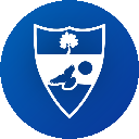 Liberland Dollar Acțiune