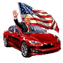 Trump Tesla Stock