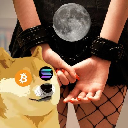 BTC DOGE SOL MOON Aktie