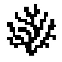 Coral Protocol Action