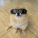 Kori The Pom Cổ phiếu