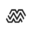 Multi Asset Investment Vehicle Action