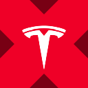 Tesla tokenized stock (xStock) Acțiune