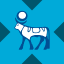 Novo Nordisk tokenized stock (xStock) Cổ phiếu