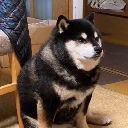 Dark Cheems Acțiune