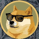 DogeCoin Action
