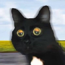 Andrea Von Speed Saham