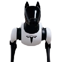Tesla Dog Stock