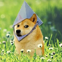 ETH DOGE Aktie