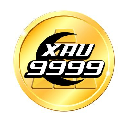 XAU9999 Meme Aktie